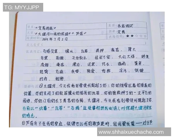 杨秀英独家揭秘：深入解析足球技巧与比赛心得分享