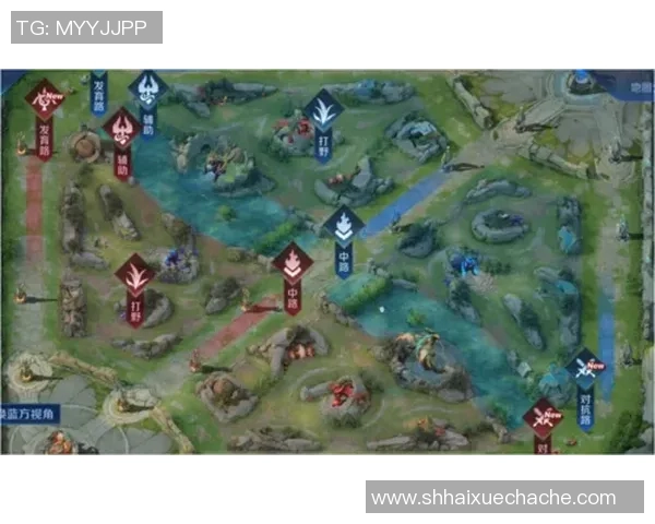 王者荣耀V5赛季深度解析与节奏变化全景探讨