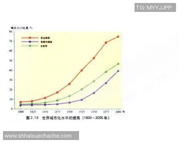 西安羽毛球队运营模式分析与发展前景探讨